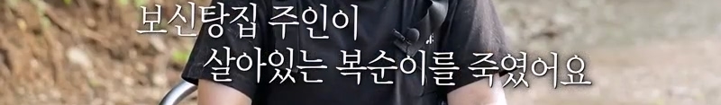 하염없이 짖어서 뇌졸중으로 쓰러진 주인 구한 개 상해 입자 보신탕 집에 넘긴 주인 | 인스티즈