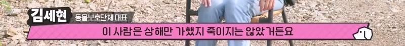 하염없이 짖어서 뇌졸중으로 쓰러진 주인 구한 개 상해 입자 보신탕 집에 넘긴 주인 | 인스티즈