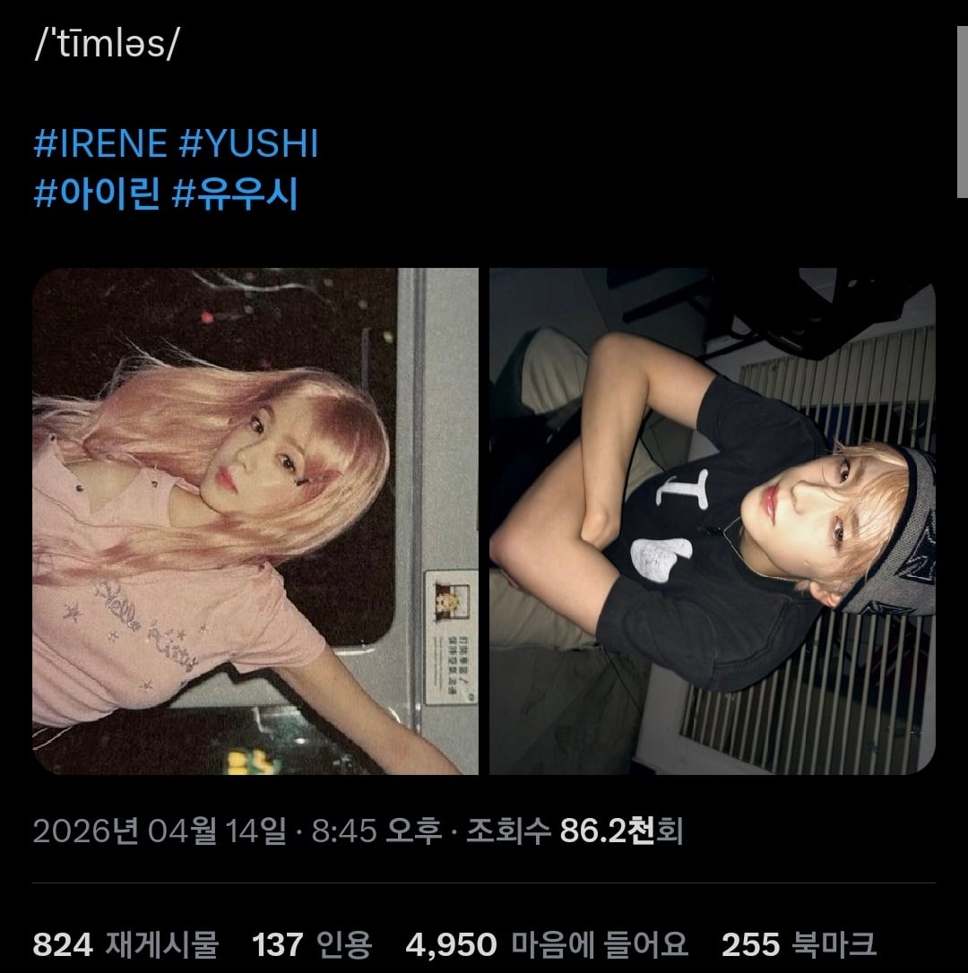 [잡담] 아이린 유우시 닮은꼴로 해외팬들이 미나봄 | 인스티즈