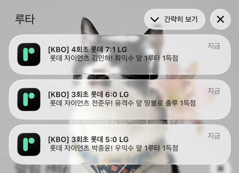 [잡담] 루타 알람 갑자기 왜이랴,,, | 인스티즈