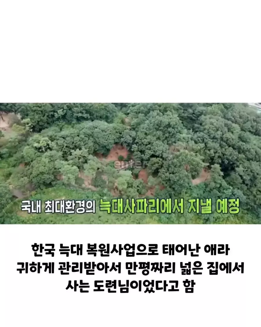 본가 공개되고 늑구 새로 생긴 별명 | 인스티즈