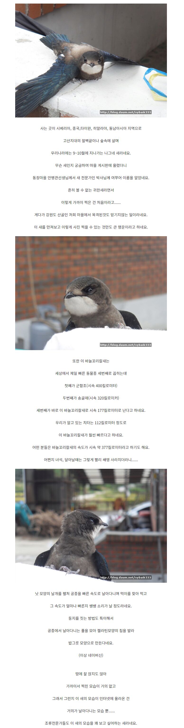 추석 달 찍다가 신기한 거 본 사람 | 인스티즈