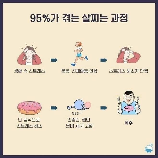 95%가 겪는 살찌는 과정 | 인스티즈