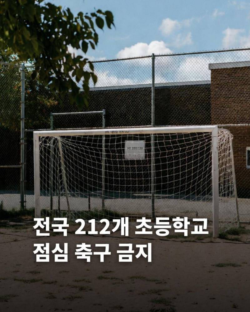 𝙅𝙊𝙉𝙉𝘼망해가는 한국 학생들 교육근홤 | 인스티즈