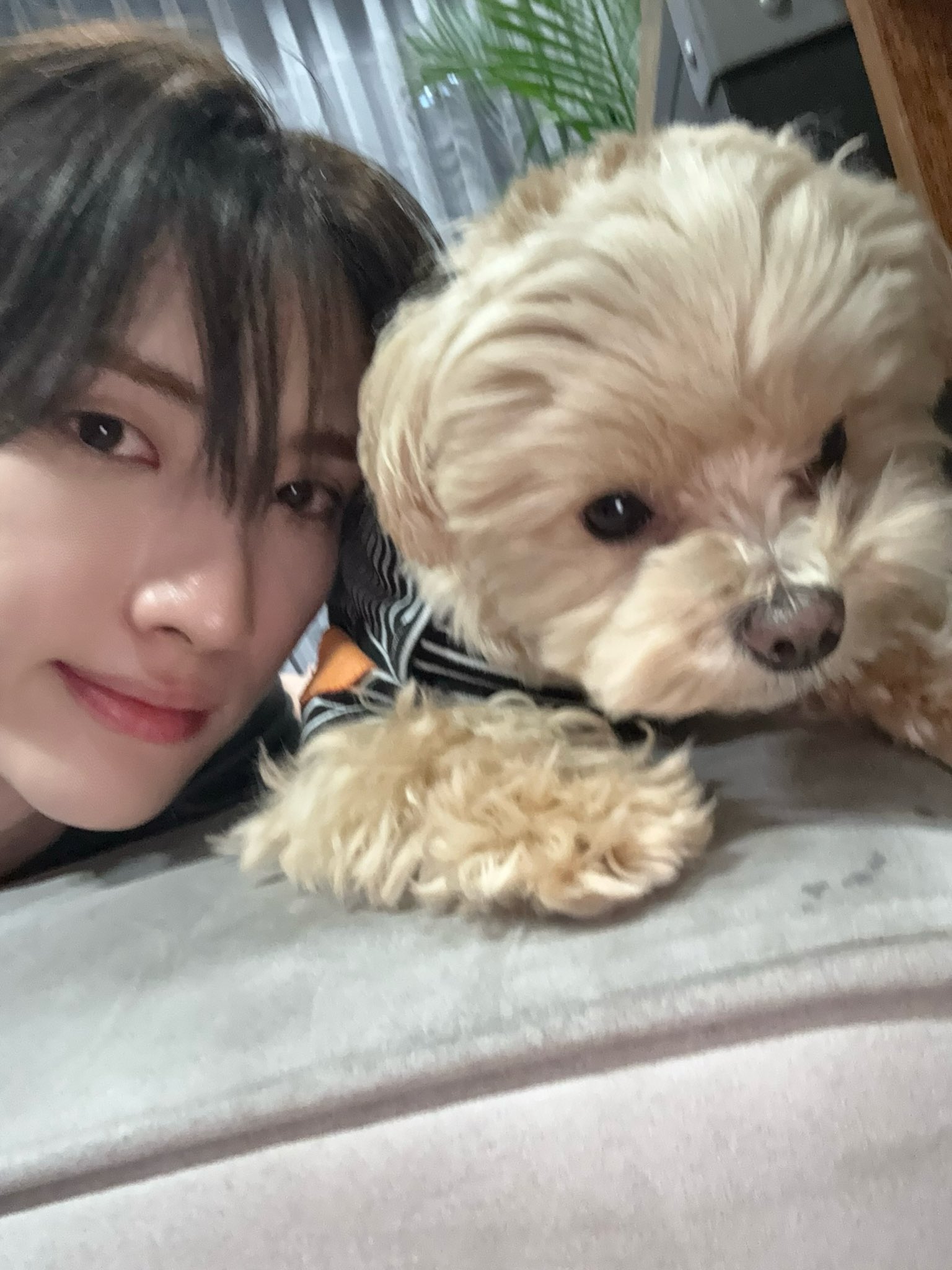 와 이거 개웃겨 성별 물어볼 때 무슨 컷이냐고 하는 사람 처음 봐ㅋㅋㅋㅋㅋ.twt | 인스티즈