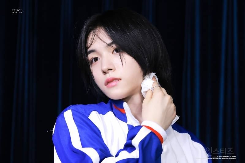 자다 일어난 뽀시래기 말티즈 상이라는 아이돌.jpg | 인스티즈
