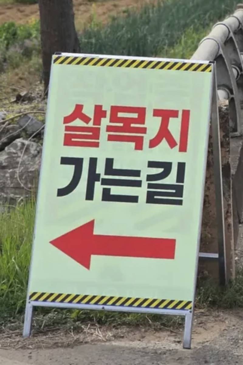 살목지 저수지에 생겼다는 표지판.jpg | 인스티즈