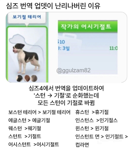 보기절 테리어 | 인스티즈