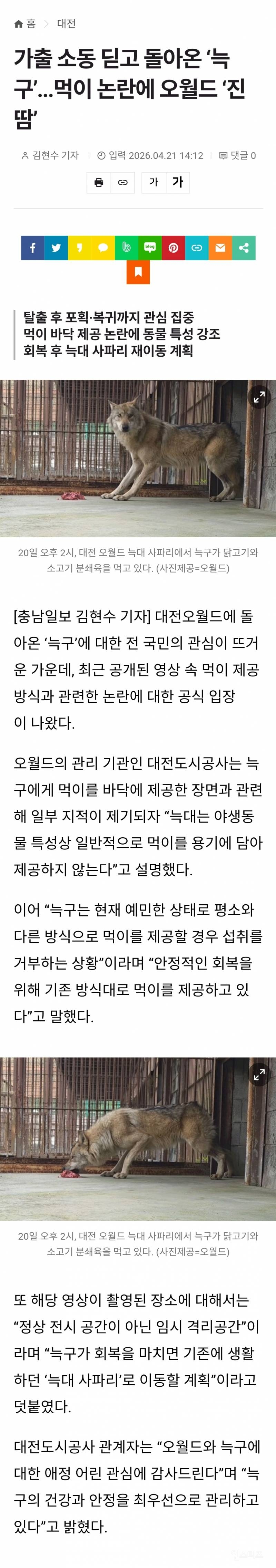 🐺가출 소동 딛고 돌아온 '늑구'...방치 논란에 오월드 '진땀' | 인스티즈