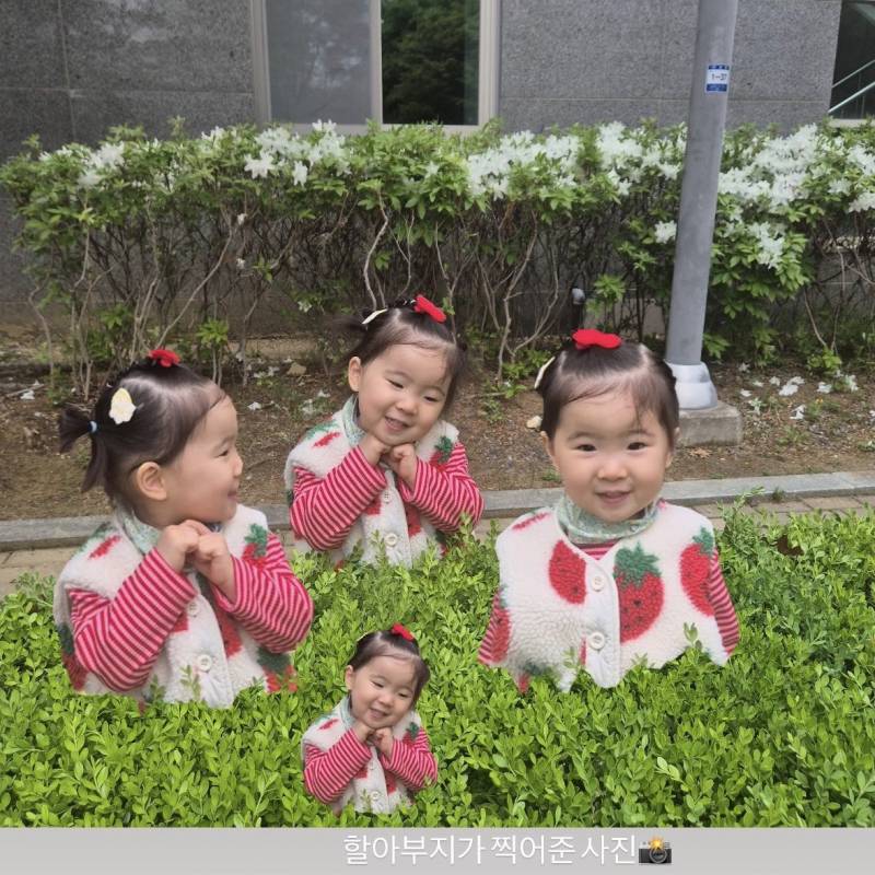 [잡담] 할아버지가 사진 찍어주니까 포즈 취하는 하솜이 너무 귀여워 | 인스티즈