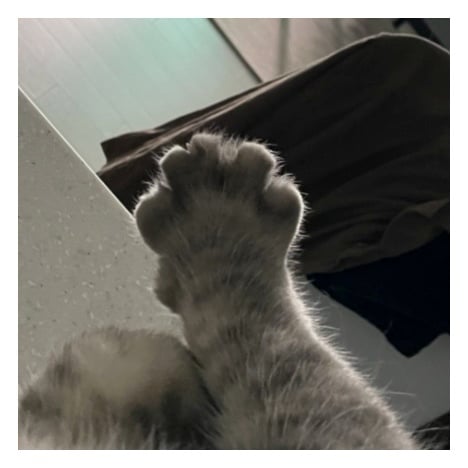 [잡담] 일하는 척 하면서 | 인스티즈