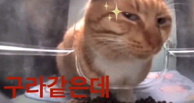 아무도 믿지 못하고 있는 드라마 <허수아비> 백현진 인물소개 | 인스티즈