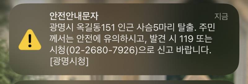 [잡담] 뭐야 우리지역 사슴 탈출했대 | 인스티즈