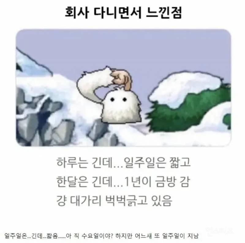 회사 다니면서 느낀점.jpg | 인스티즈