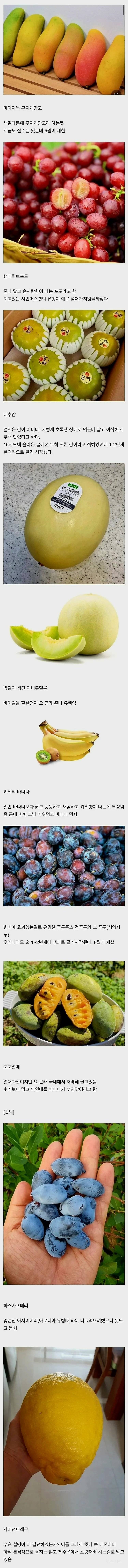 요즘들어 만들어졌다는 신상 과일들 | 인스티즈