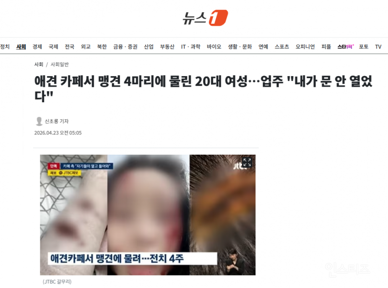 애견 카페서 맹견 4마리에 물린 20대 여성…업주 "내가 문 안 열었다" | 인스티즈
