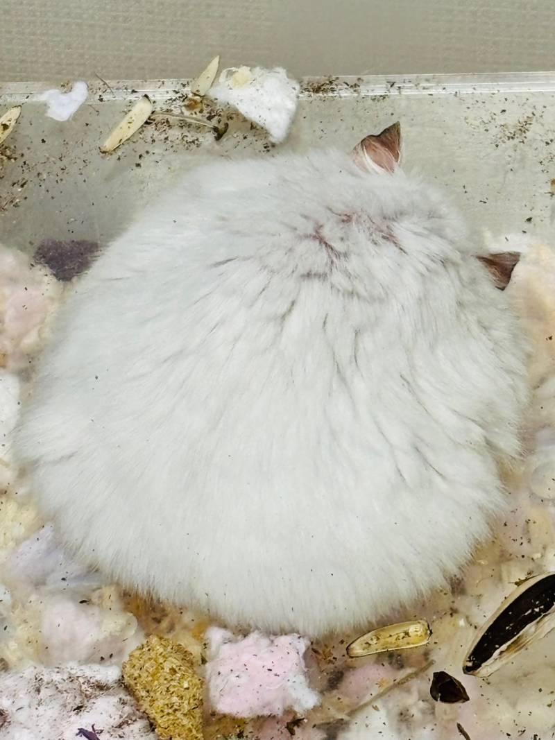 [잡담] 얘 너무 예쁜척해서 좀 그럼 | 인스티즈