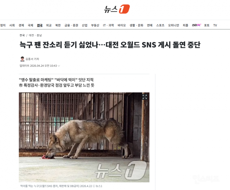 늑구 팬 잔소리 듣기 싫었나…대전 오월드 SNS 게시 돌연 중단 | 인스티즈