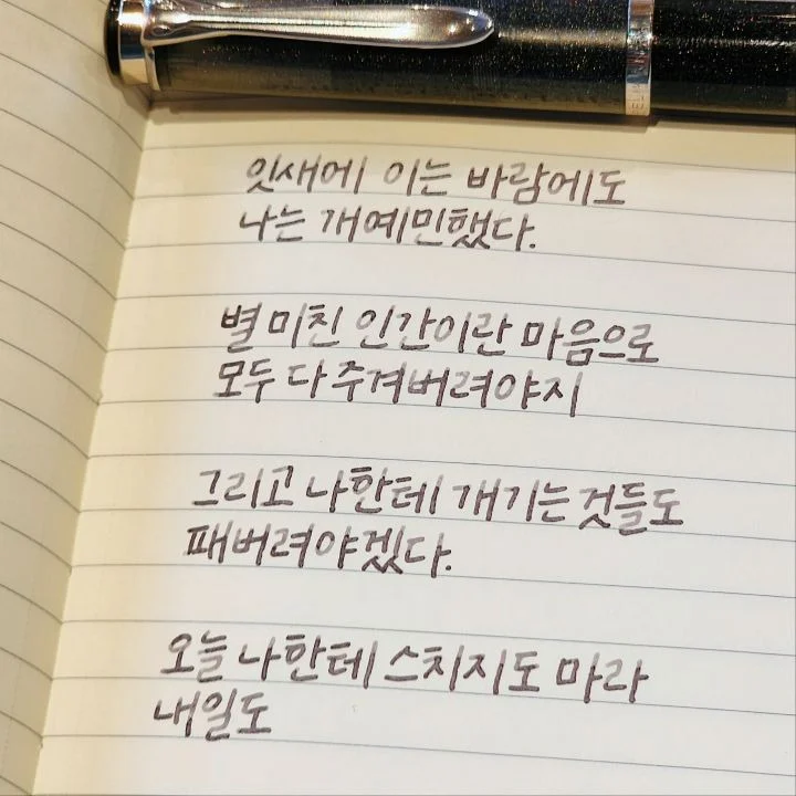 선 넘는 개그가 취향이라 참 난감하다 | 인스티즈