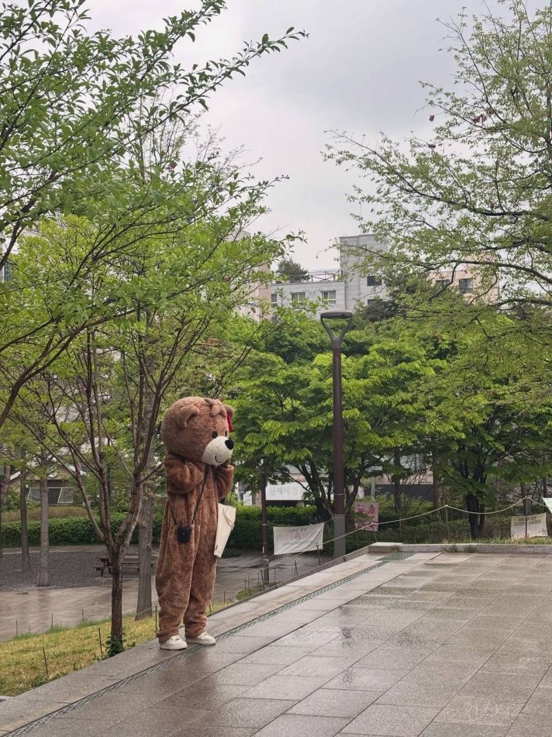 얼마나 잘 되고 싶은건지 감도 안오는 이채연…(p) | 인스티즈