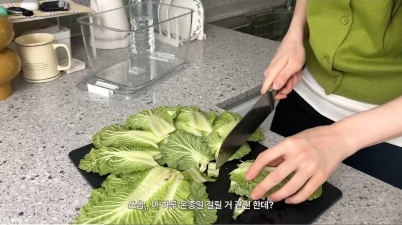 봄동비빔밥 막차 탔다는 이채연 근황.jpg | 인스티즈