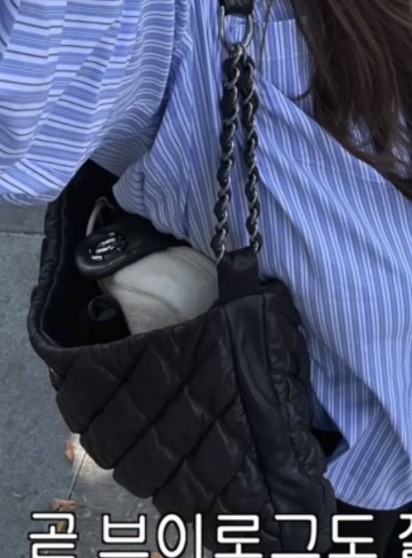 [잡담] 샤넬 잘 아는 익들 있니 | 인스티즈