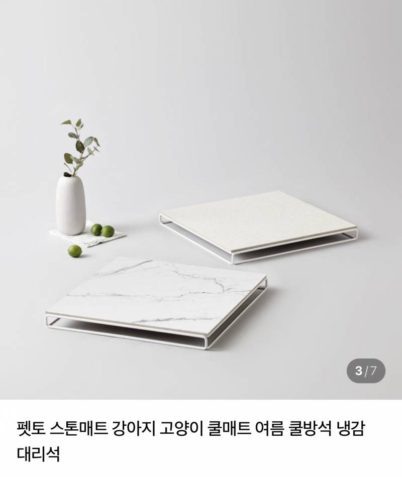 [잡담] 고냥이 키우는 집사들아~ 여름에 이런거 써? | 인스티즈