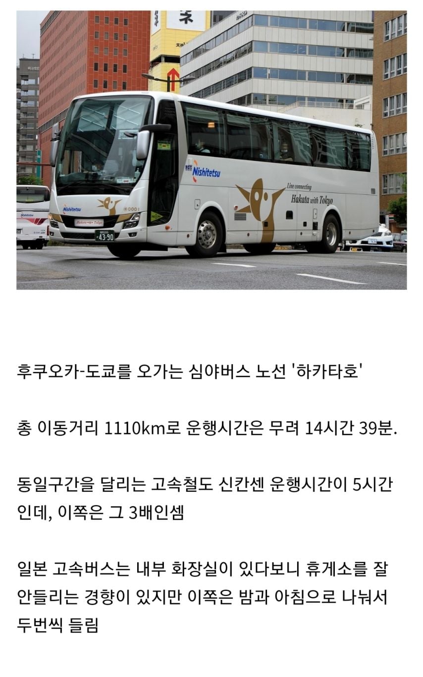 하루에 1100km 장거리 일본 심야버스 | 인스티즈