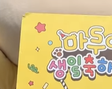 유기견 강아지들이 모델로 참여했다는 마루는강쥐 생일굿즈 | 인스티즈