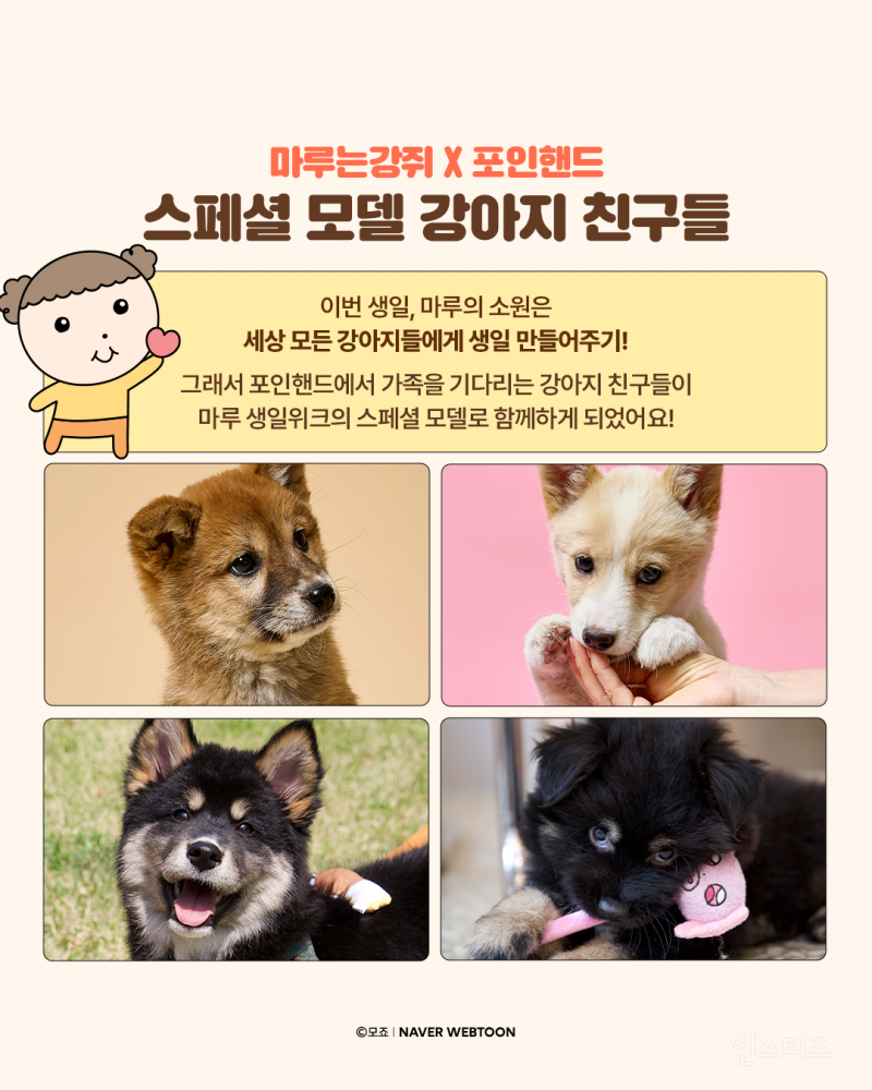 유기견 강아지들이 모델로 참여했다는 마루는강쥐 생일굿즈 | 인스티즈