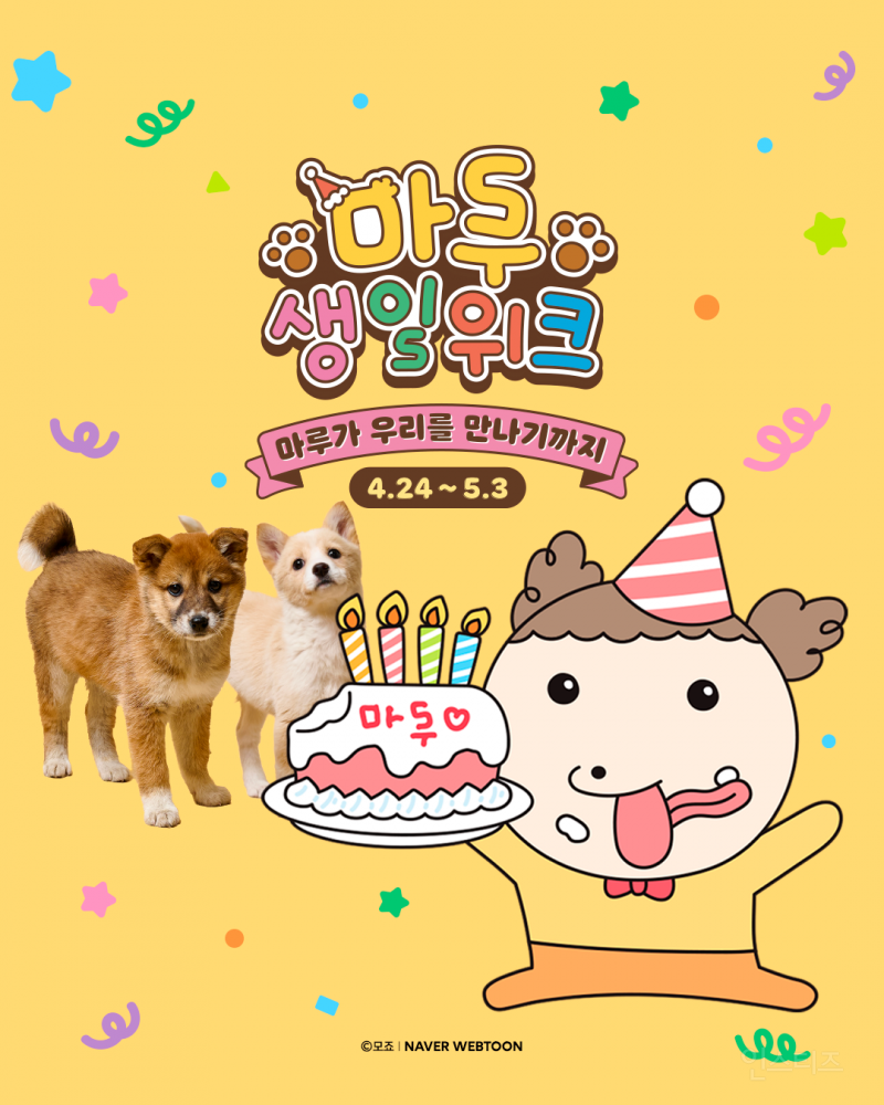 유기견 강아지들이 모델로 참여했다는 마루는강쥐 생일굿즈 | 인스티즈