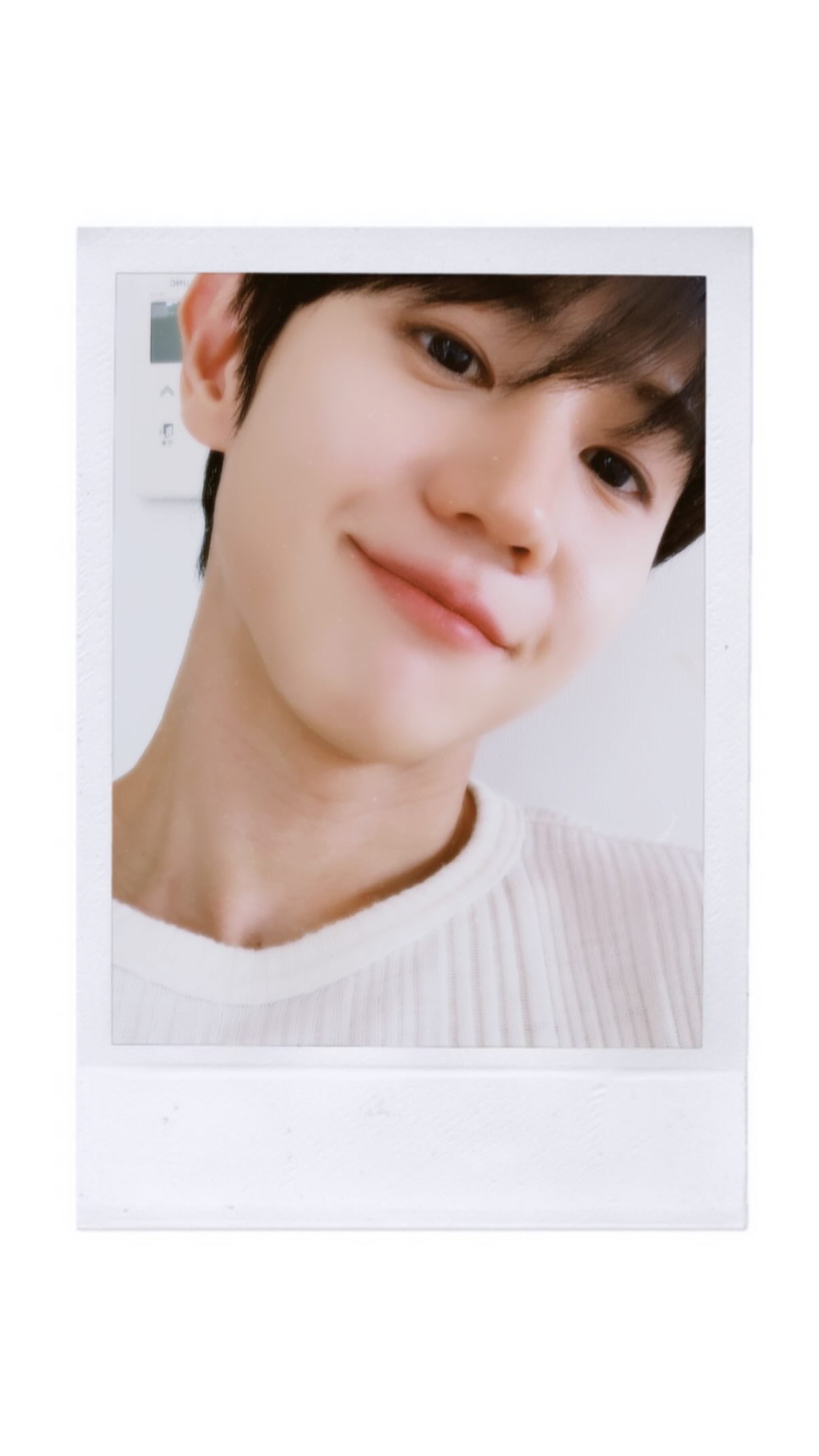 [잡담] 아니 어떻게 이 얼굴이 서른 일곱살이지 ㅈㅇ 양요섭 | 인스티즈