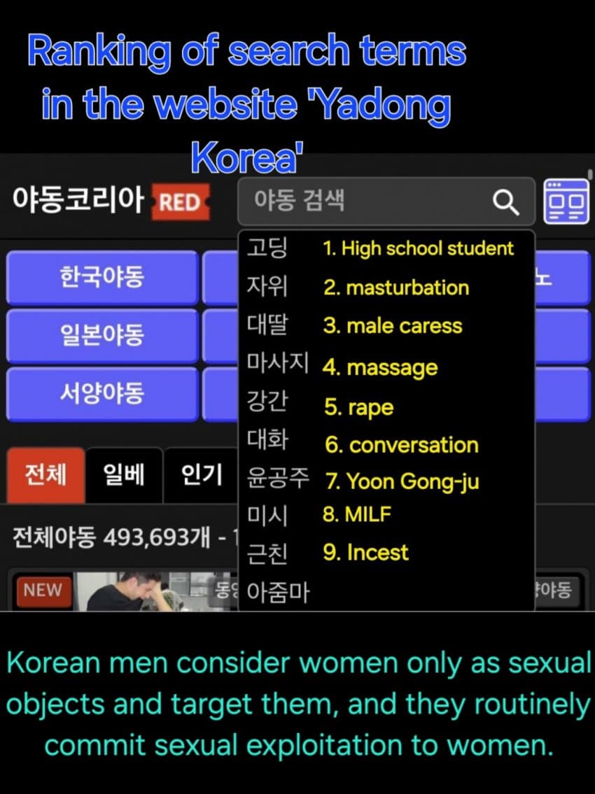 [정리글] 불법 웹툰 플랫폼 다음으로 조져야하는 곳 | 인스티즈