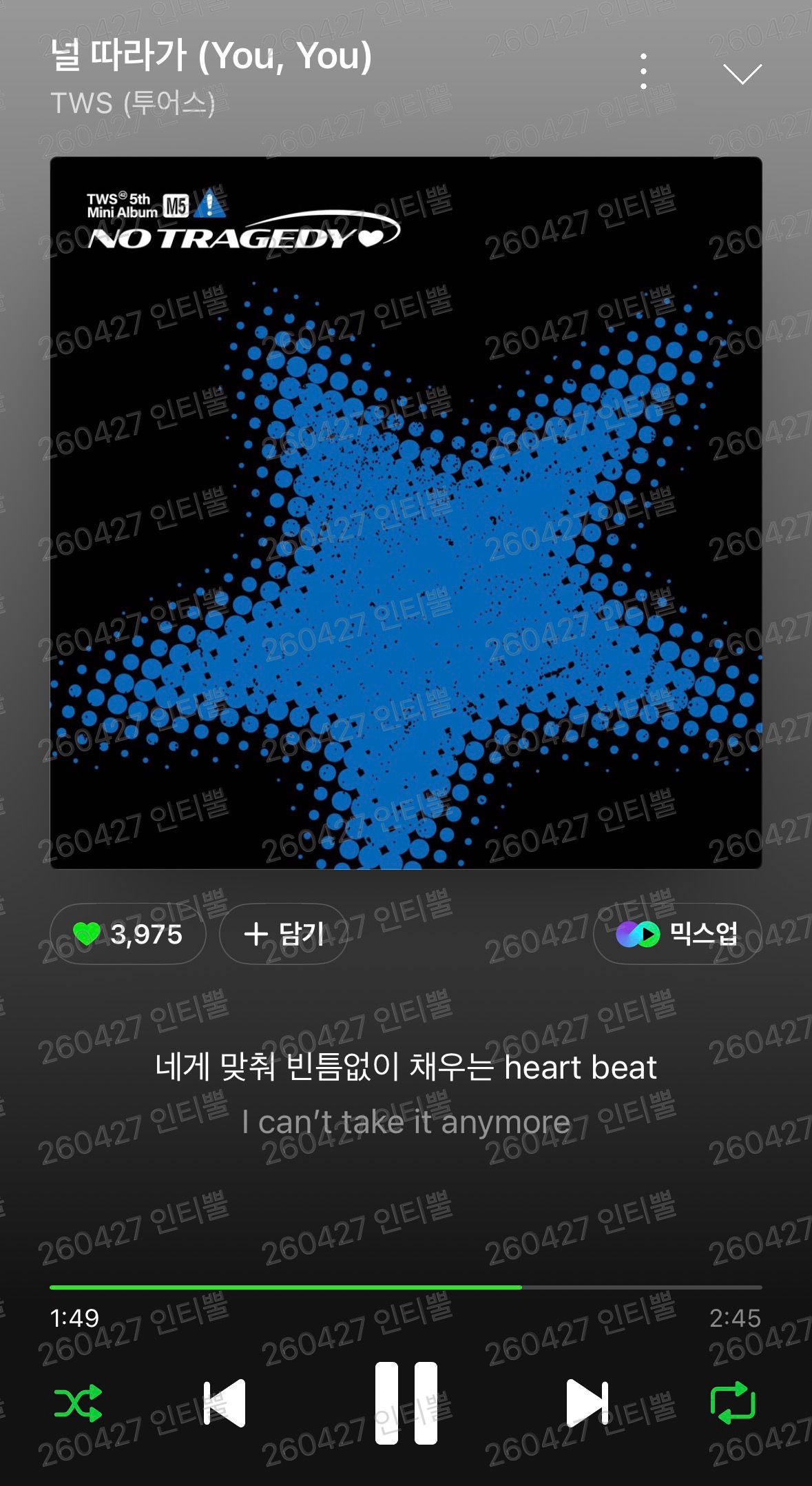[잡담] 뿔 투어스 보은 왔어요 42 고마워 🩷🪾🩷 | 인스티즈