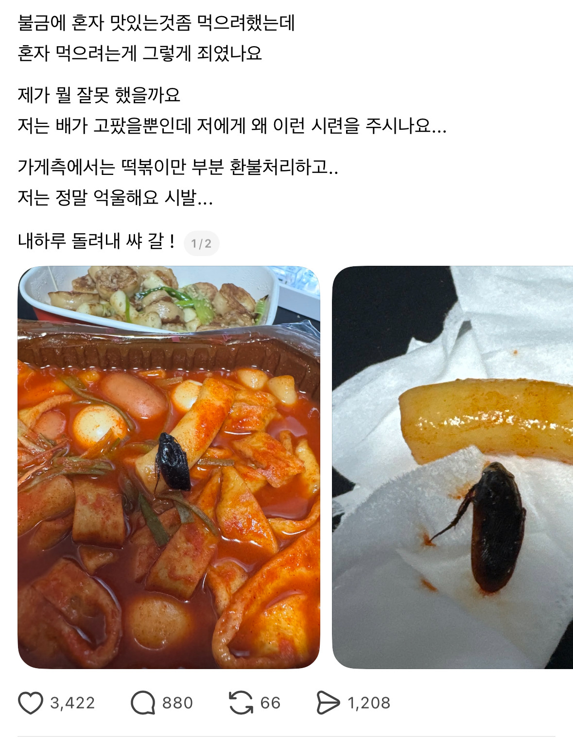[정보/소식] (혐오주의) 와 얘들아 너네 삼첩분식 사과문 봄...? | 인스티즈