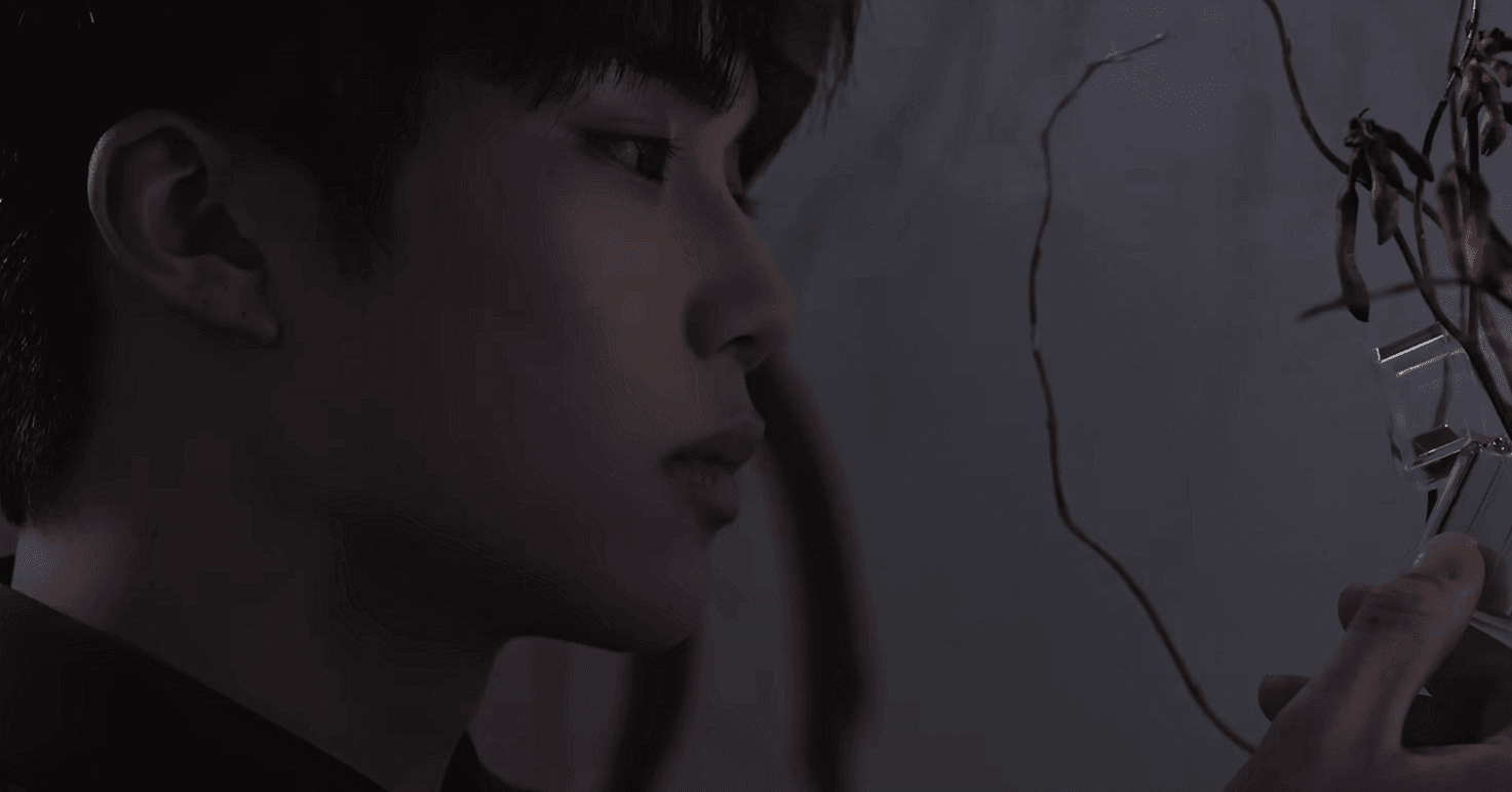 팬들 반응 역대급으로 좋은듯한 이번 제로베이스원 트레일러 | 인스티즈