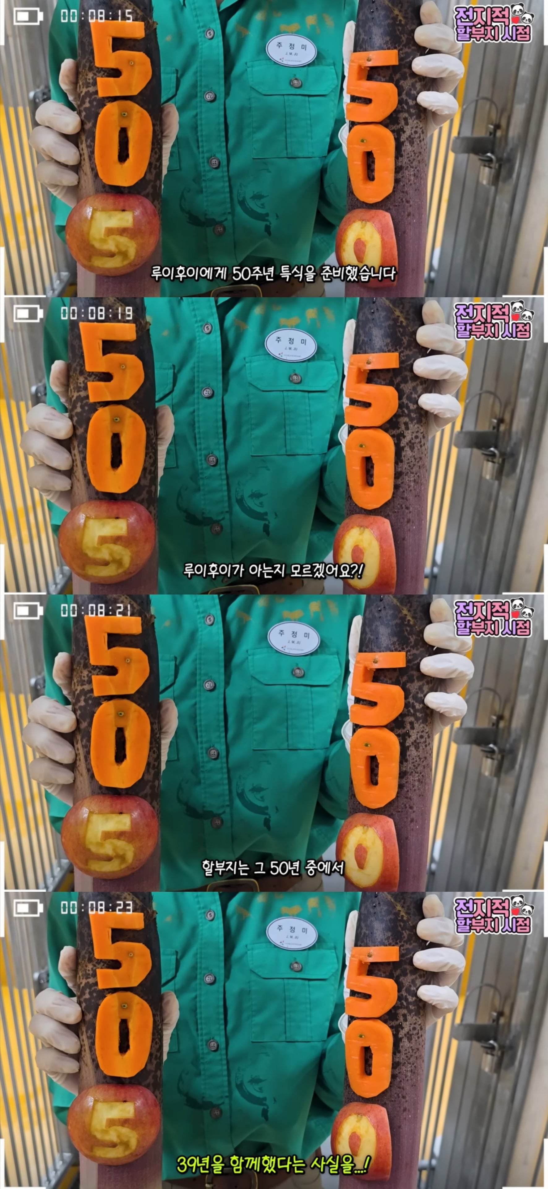 [잡담] 할!!!! 미친!!!! 강바오 강철원 주키퍼님 39년 근속이시래 | 인스티즈