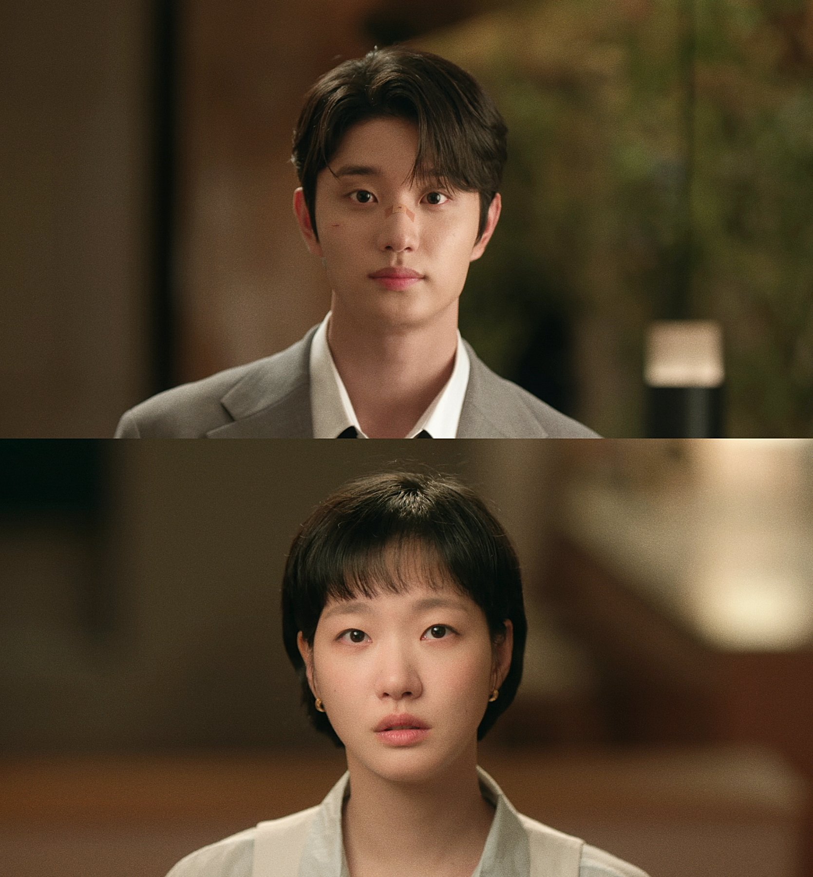 [잡담] 유미의세포들3) 두부두부... | 인스티즈
