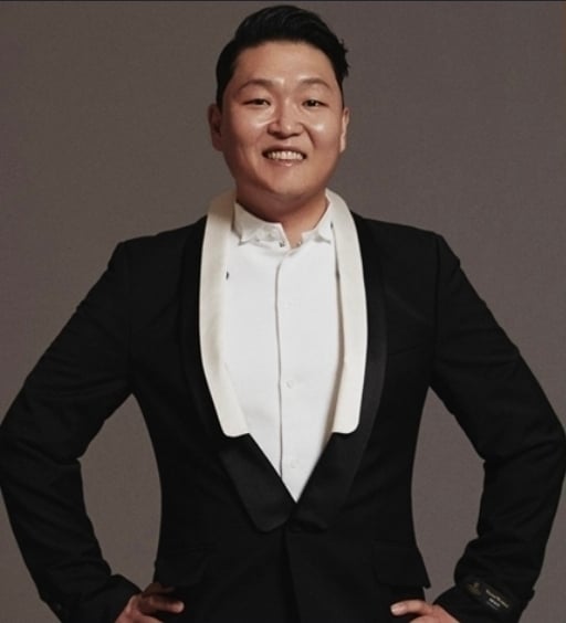 [정보/소식] '흠뻑쇼' 백날 해봤자…싸이의 피네이션 113억 적자 '속빈강정' | 인스티즈