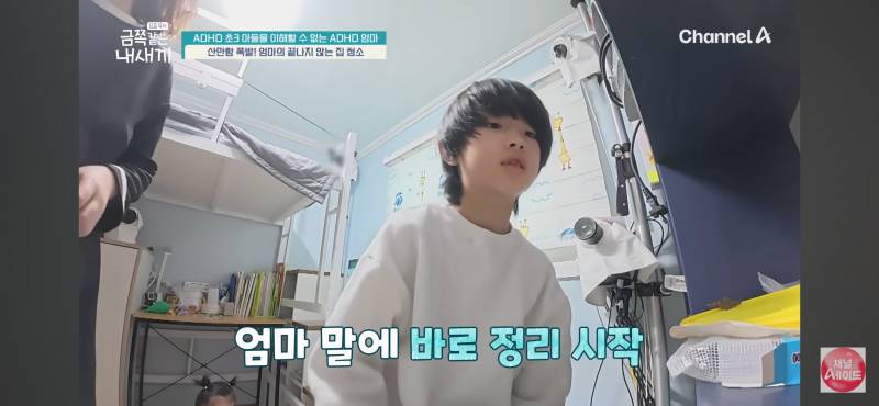 [잡담] 내가 봣던 금쪽이중 유독 잘생겼다봄ㅎ | 인스티즈