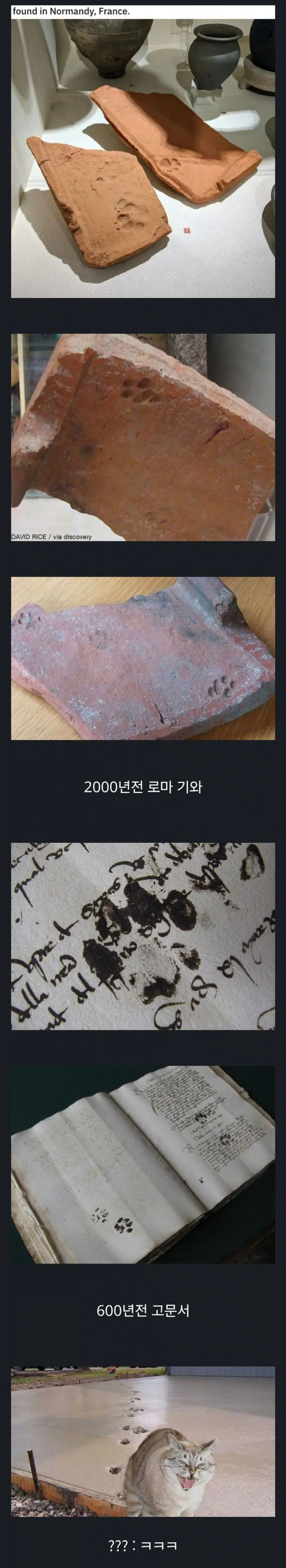 수천년간 똑같은 짓을 하는 동물 | 인스티즈