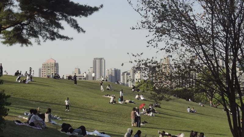 [잡담] 요즘 올공가면 거의 센트럴파크임 | 인스티즈