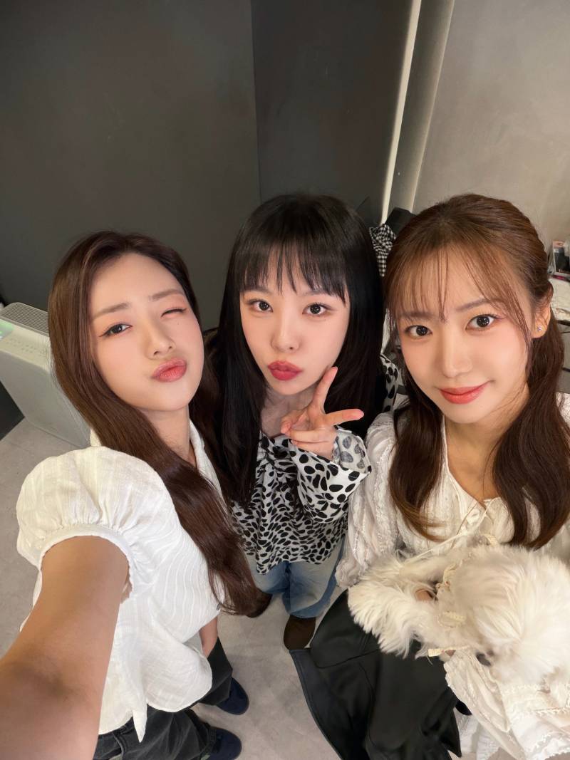 번호는 알지만 친하지 않았던 두 여돌의 만남 ㅋㅋㅋㅋㅋ | 인스티즈