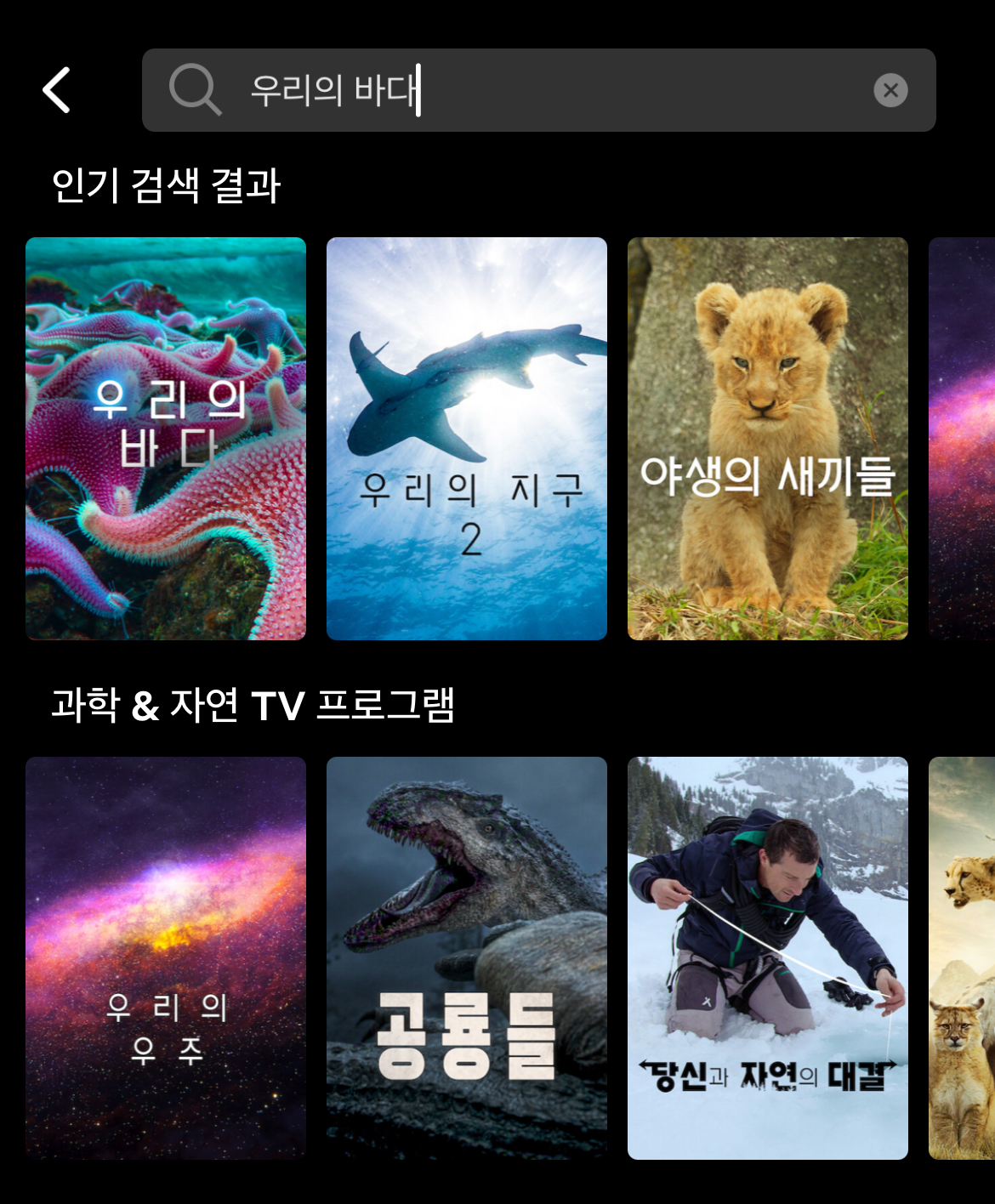 [잡담] 쉴때 보는 ott 목록 마저 이과보이 티나는거 | 인스티즈