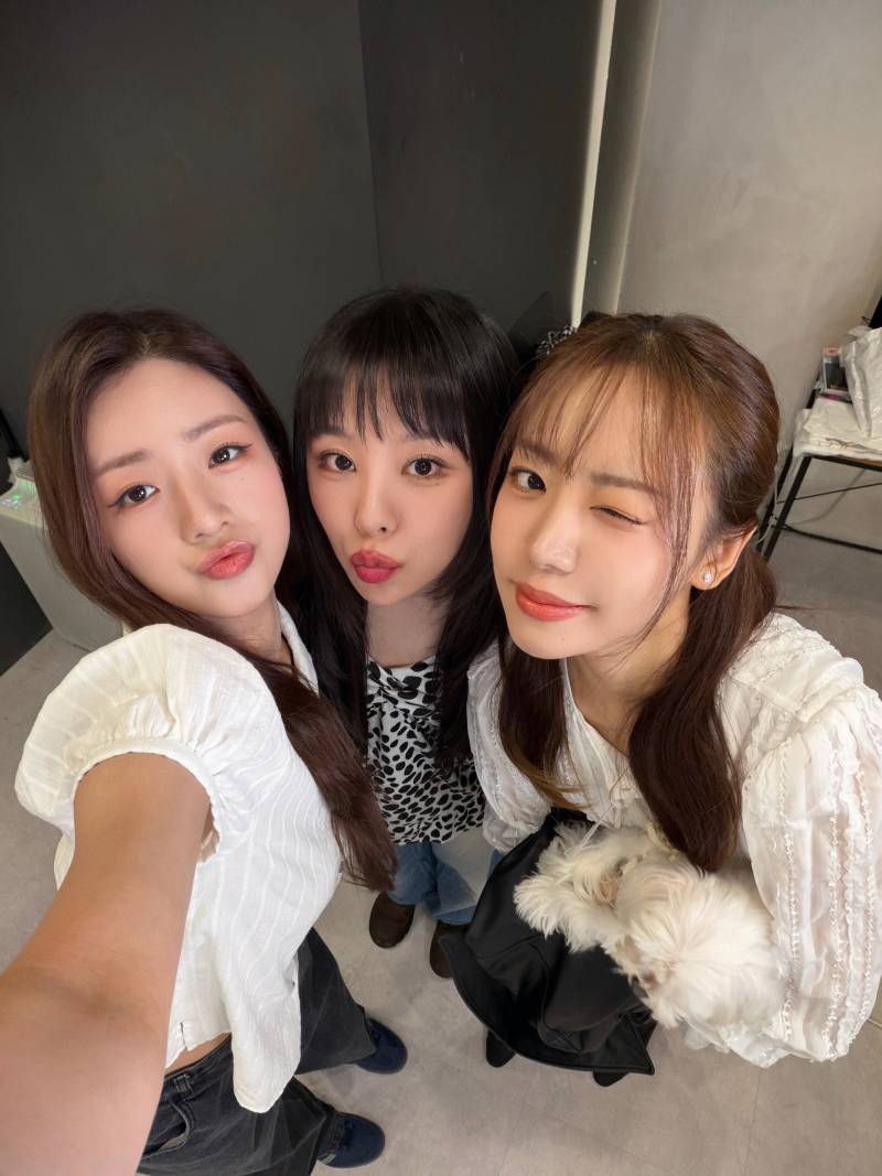 번호는 알지만 친하지 않았던 두 여돌의 만남 ㅋㅋㅋㅋㅋ | 인스티즈