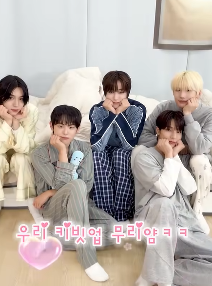 [잡담] 야 키비럽이 그렇게 귀엽다며? | 인스티즈
