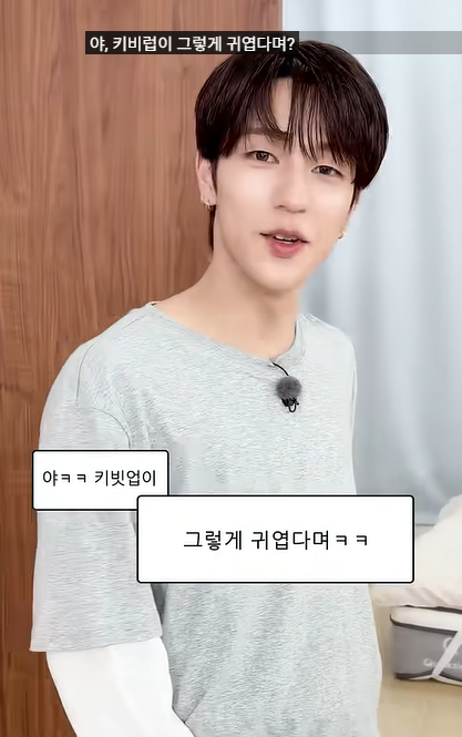 [잡담] 야 키비럽이 그렇게 귀엽다며? | 인스티즈