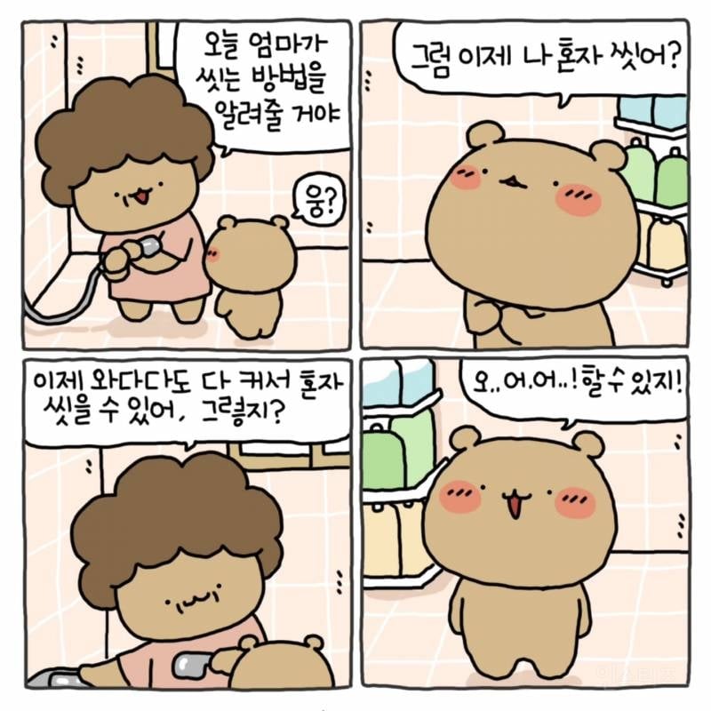 와다다곰 인스타 | 인스티즈