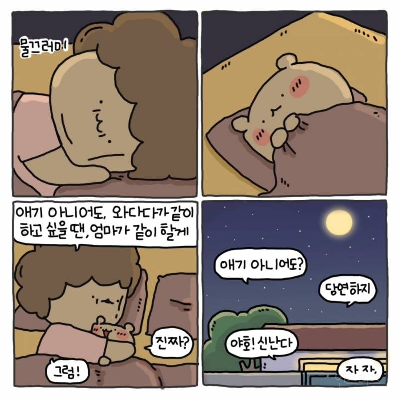와다다곰 인스타 | 인스티즈