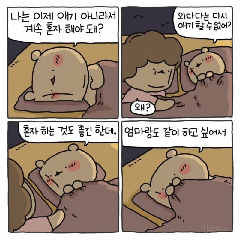 와다다곰 인스타 | 인스티즈